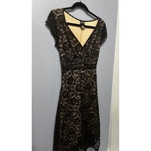 Lace Sheer Maxi Dress Dark Fairy Romantic Victorian Whimsigoth Witchy M/L